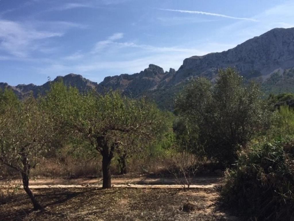One Bed Apartment Overlooking Jalon Valley, Costa Blanca Alcalali Bagian luar foto