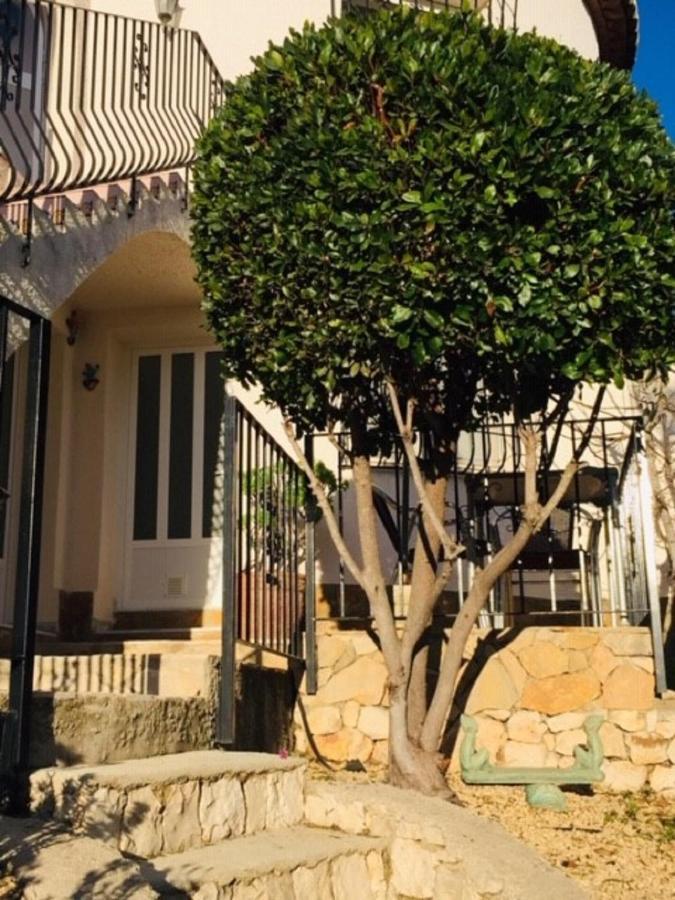 One Bed Apartment Overlooking Jalon Valley, Costa Blanca Alcalali Bagian luar foto