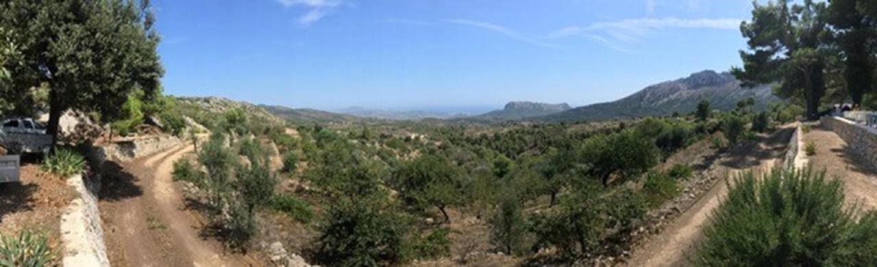 One Bed Apartment Overlooking Jalon Valley, Costa Blanca Alcalali Bagian luar foto