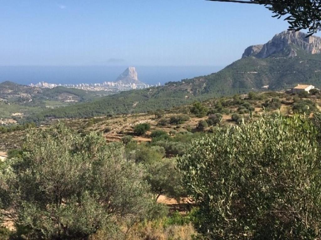 One Bed Apartment Overlooking Jalon Valley, Costa Blanca Alcalali Bagian luar foto