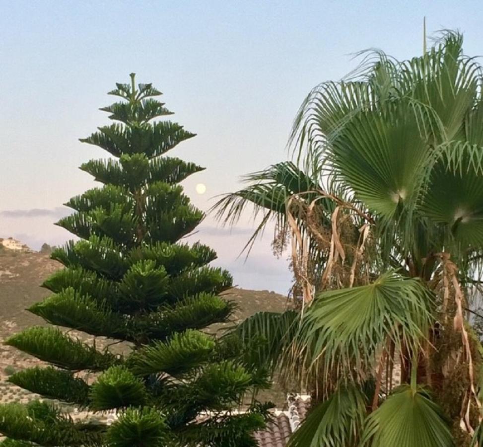 One Bed Apartment Overlooking Jalon Valley, Costa Blanca Alcalali Bagian luar foto